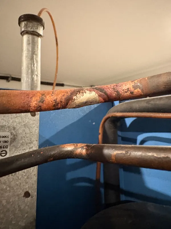 Refrigeration work by Prograde Refrigeration in the Bay of Plenty